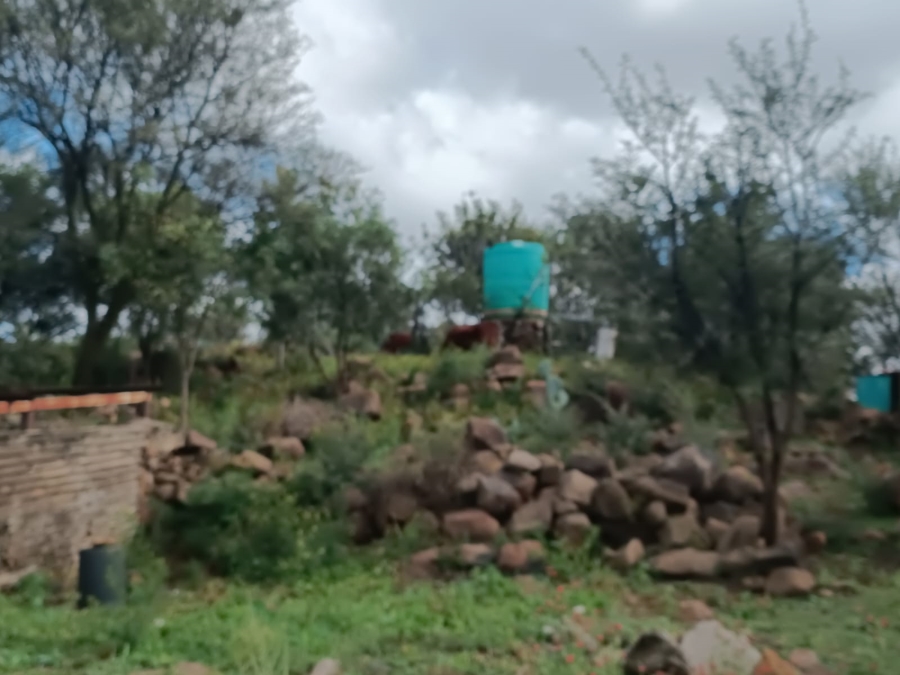 3 Bedroom Property for Sale in Koppies Free State